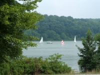 2011 Regatta Show