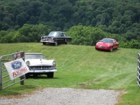 2014ColletteEarlyV8Picnic-003