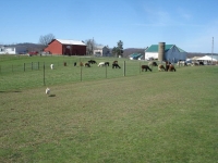 2016 GPRG48 Alpaca Farm Tour