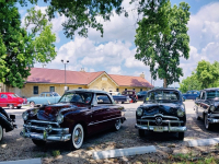 3119139090426199448-1