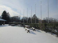 IMG_0002-1